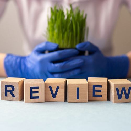 review-word-inscription-summary-revision-concept review-word-inscription-summary-revision-concept